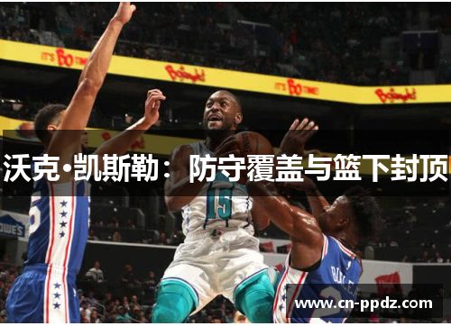 沃克·凯斯勒：防守覆盖与篮下封顶