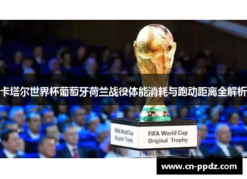 卡塔尔世界杯葡萄牙荷兰战役体能消耗与跑动距离全解析