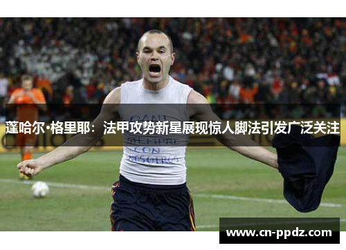蓬哈尔·格里耶：法甲攻势新星展现惊人脚法引发广泛关注