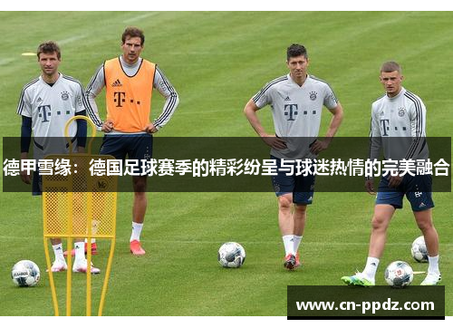 德甲雪缘：德国足球赛季的精彩纷呈与球迷热情的完美融合
