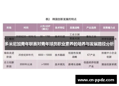 多米尼加青年联赛对青年球员职业素养的培养与发展路径分析