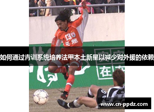 如何通过青训系统培养法甲本土新星以减少对外援的依赖 如何通过青训系统培养法甲本土新星以减少对外援的依赖