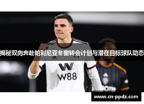 揭秘双向奔赴帕利尼亚冬窗转会计划与潜在目标球队动态