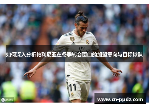 如何深入分析帕利尼亚在冬季转会窗口的加盟意向与目标球队 如何深入分析帕利尼亚在冬季转会窗口的加盟意向与目标球队