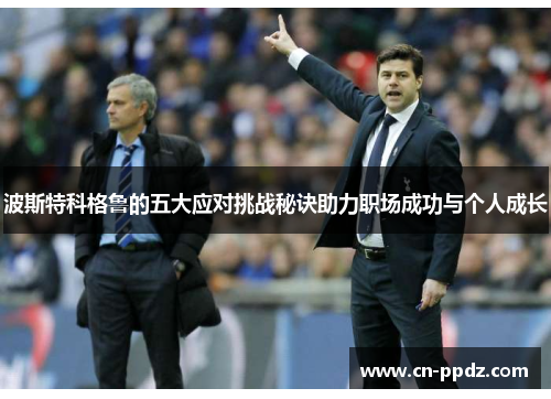 波斯特科格鲁的五大应对挑战秘诀助力职场成功与个人成长 波斯特科格鲁的五大应对挑战秘诀助力职场成功与个人成长