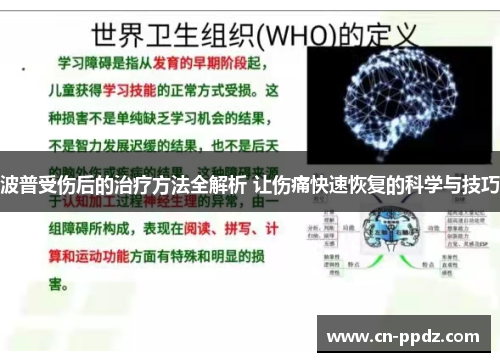 波普受伤后的治疗方法全解析 让伤痛快速恢复的科学与技巧