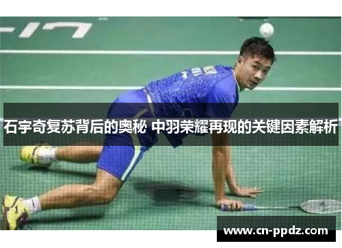 石宇奇复苏背后的奥秘 中羽荣耀再现的关键因素解析