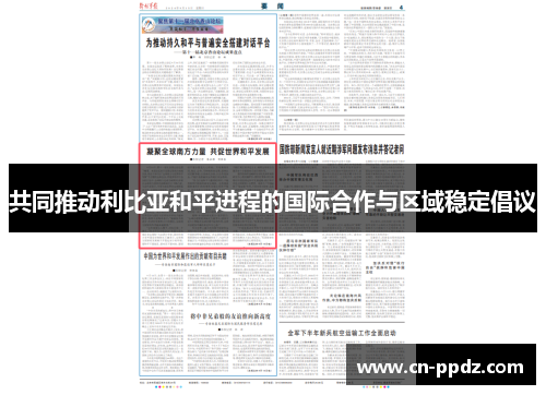 共同推动利比亚和平进程的国际合作与区域稳定倡议