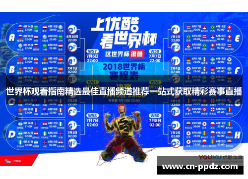 世界杯观看指南精选最佳直播频道推荐一站式获取精彩赛事直播