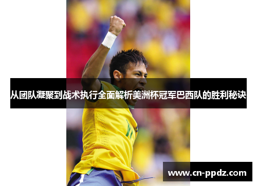 从团队凝聚到战术执行全面解析美洲杯冠军巴西队的胜利秘诀